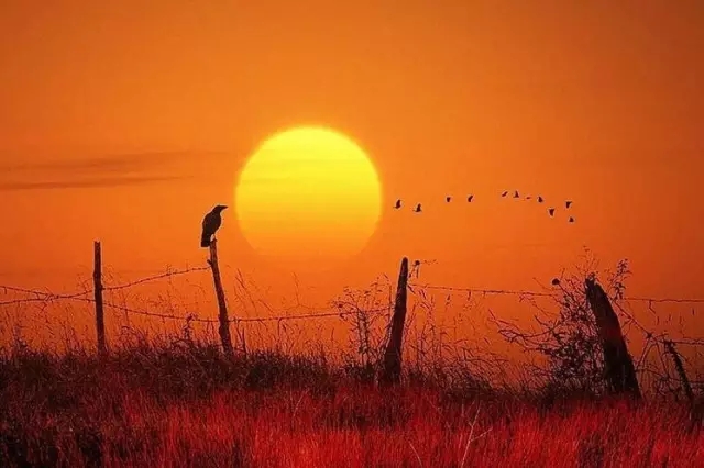 中庭人的一天！